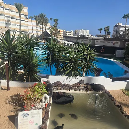 Loft Dreams Koka Apartamento San Bartolomé